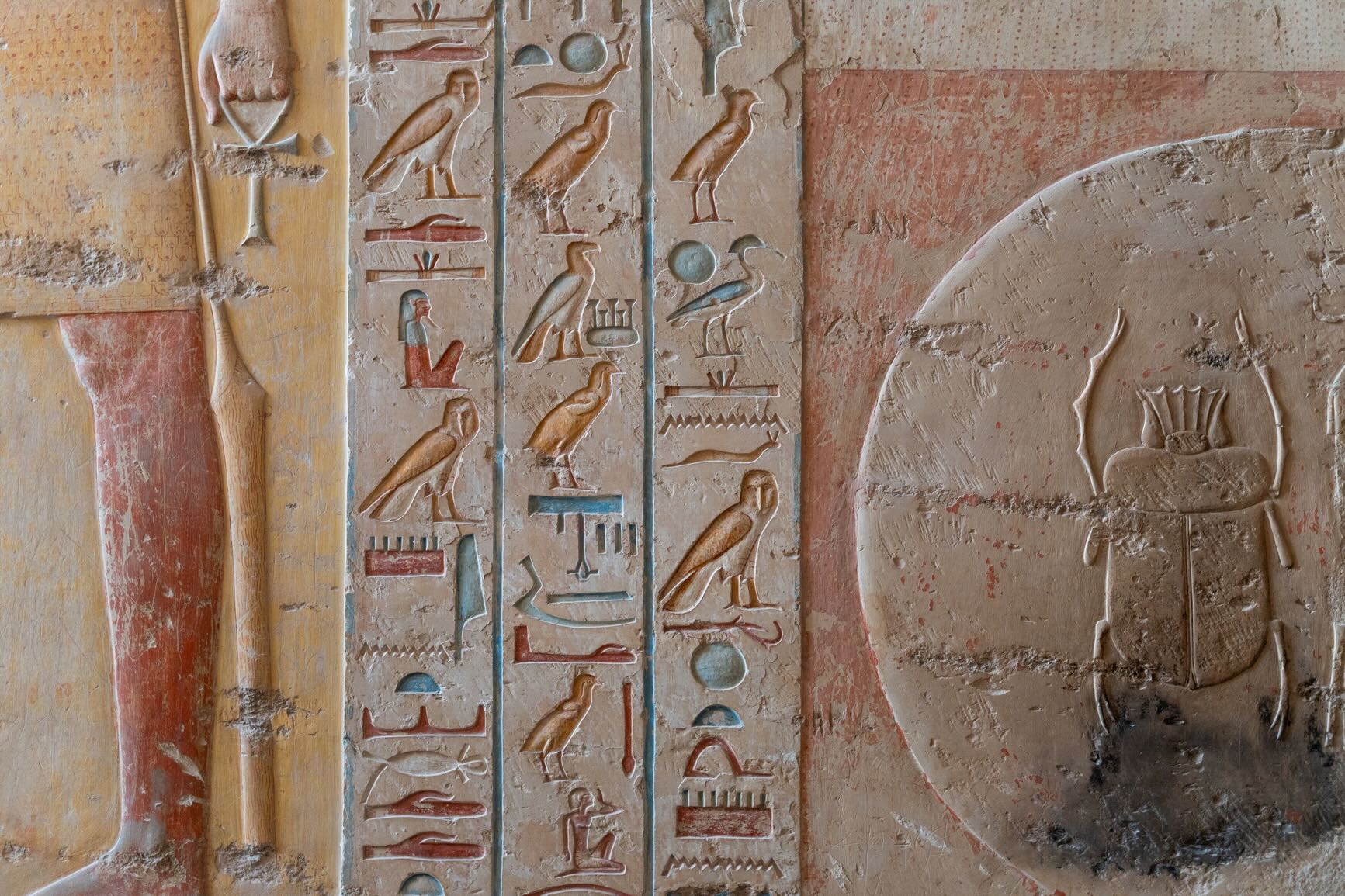banner-image