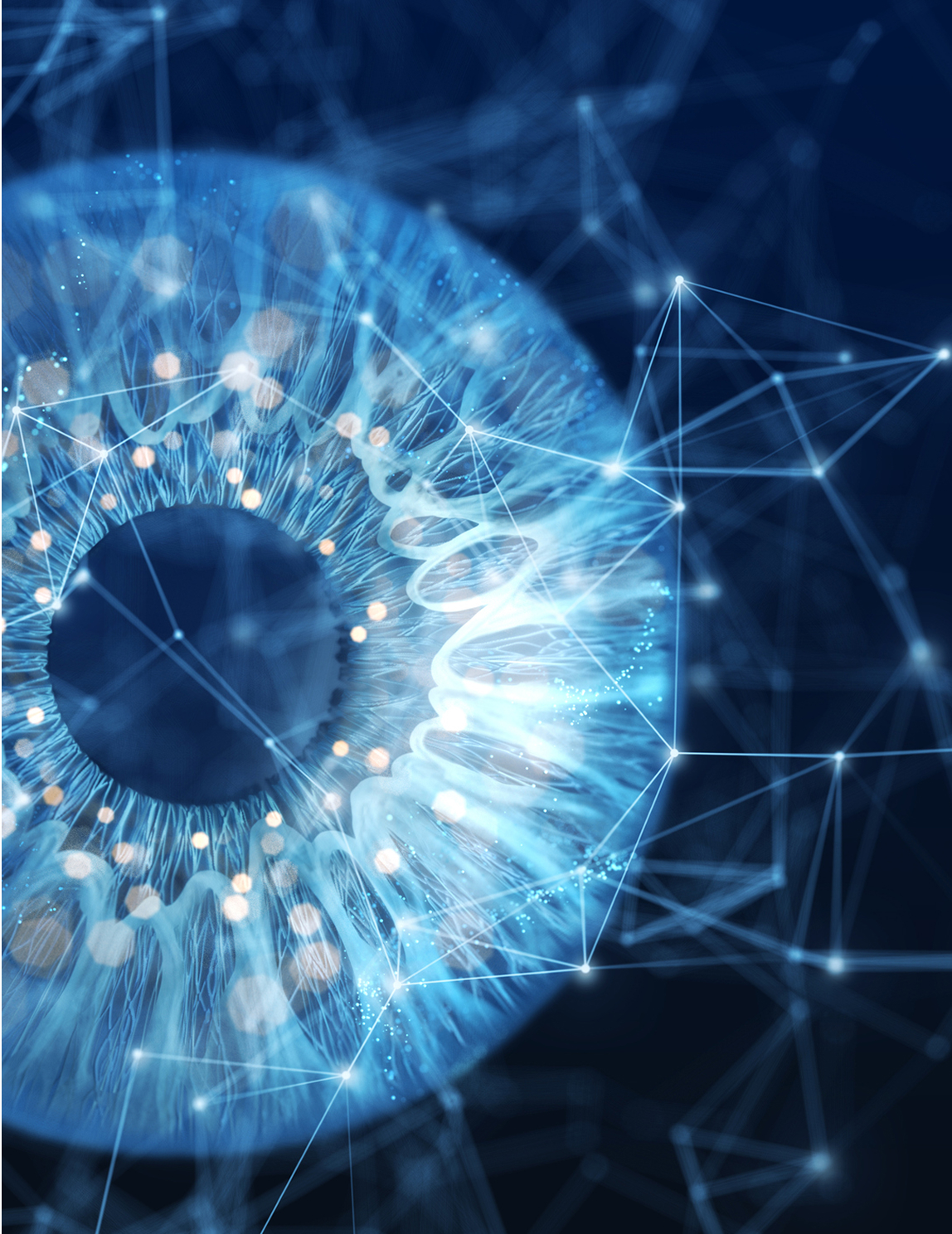 Use Cases_New Pilot Launch_Capability_ Accessibility Testing